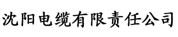 琪琪电影在线理论片电缆厂logo